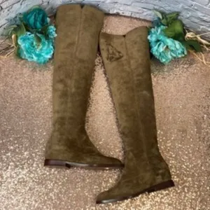 ASH Jess Russet Brown Suede Over-The-Knee Hidden Wedge Boot 36M