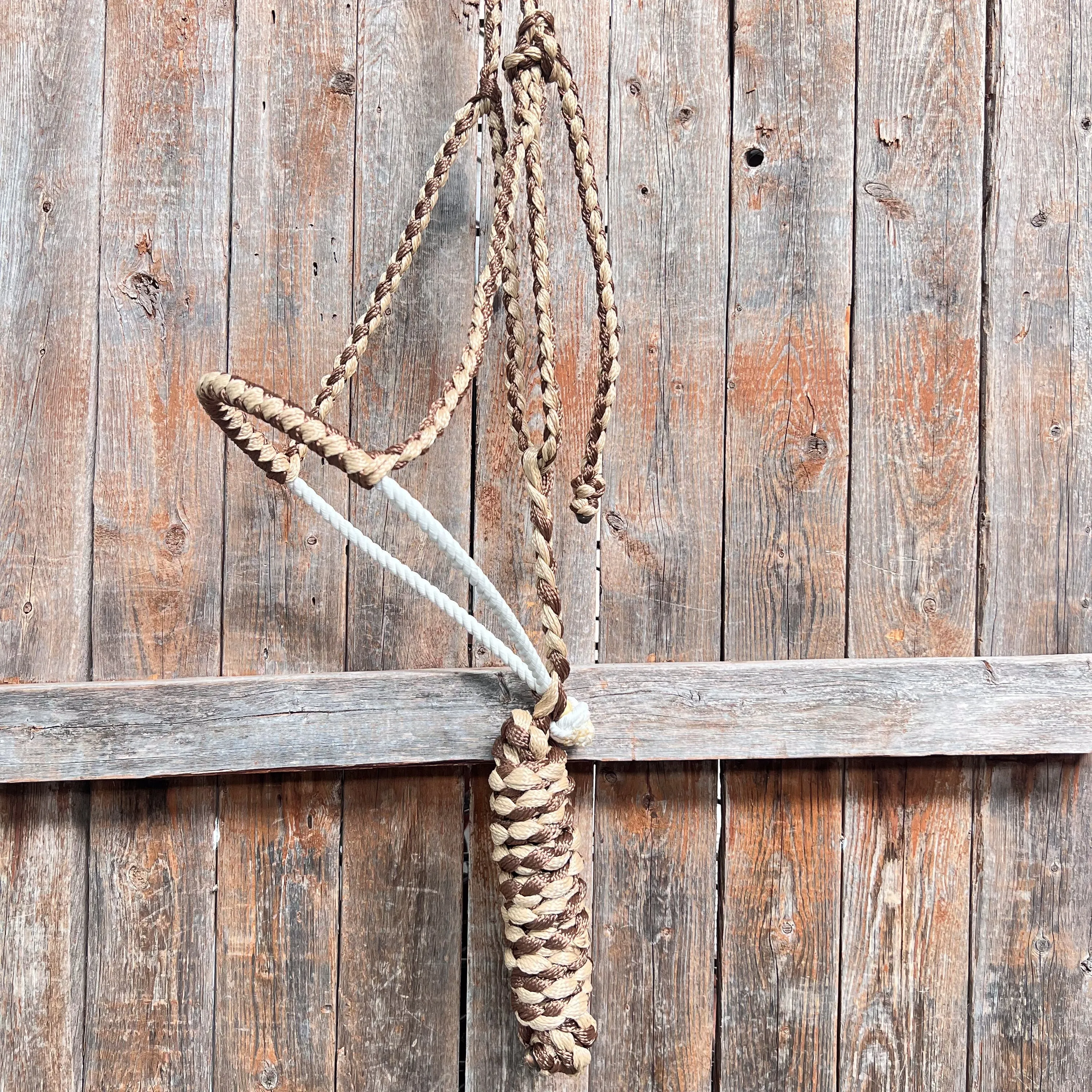 Brown and Tan Mule Tape Halter with Lariat Noseband