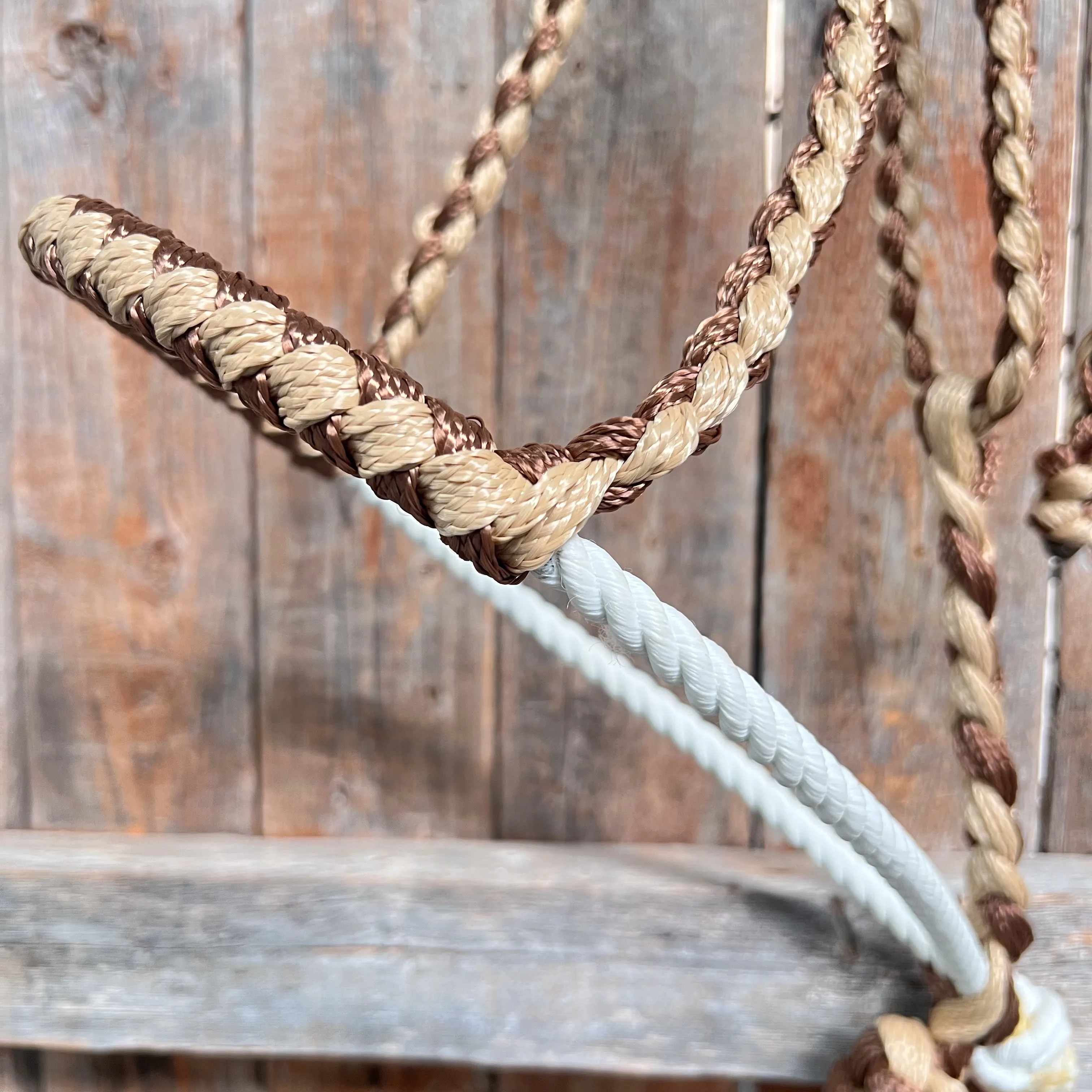 Brown and Tan Mule Tape Halter with Lariat Noseband