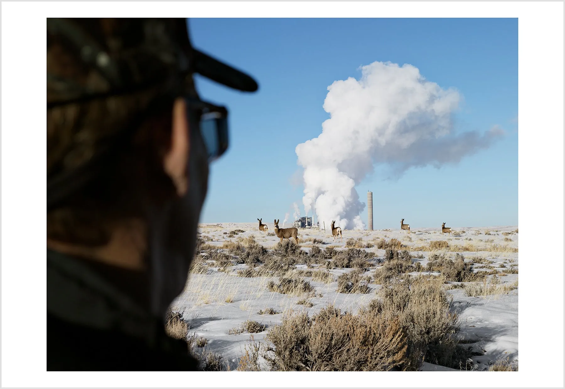 Lucas Foglia