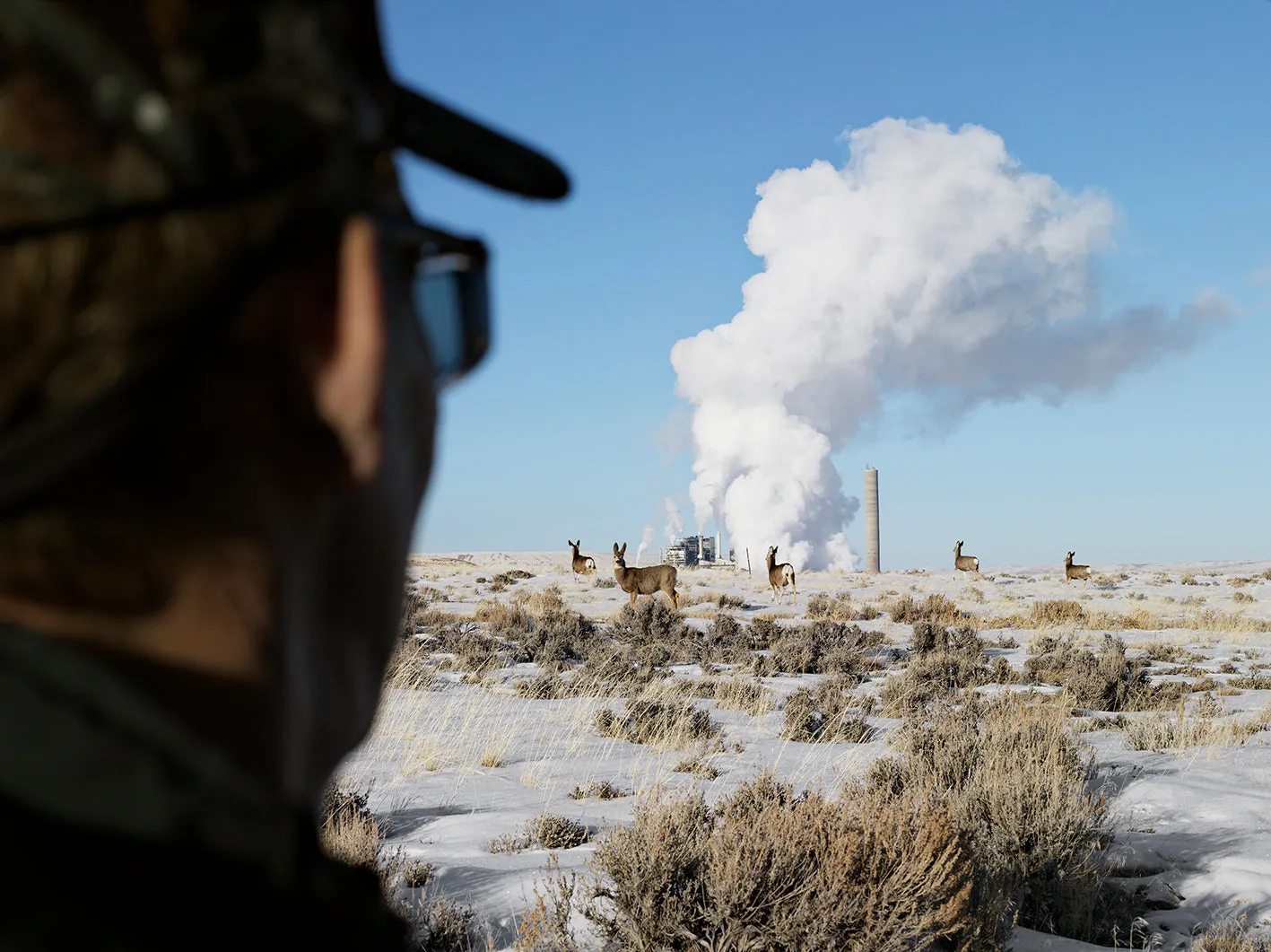 Lucas Foglia