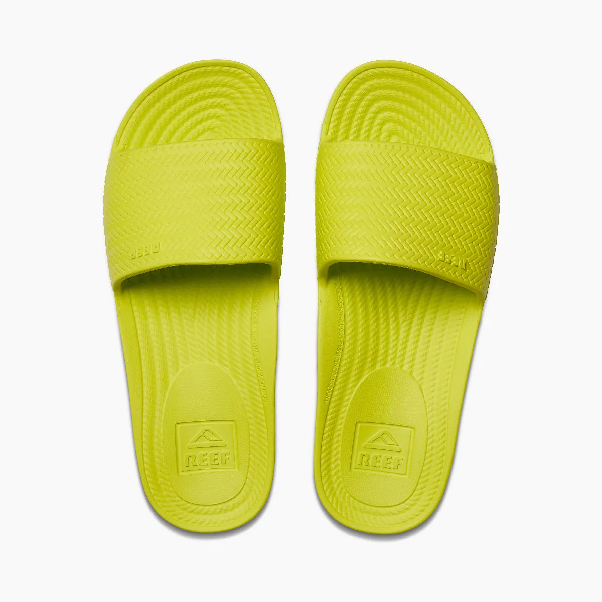 REEF Water Scout Sandal-Lime